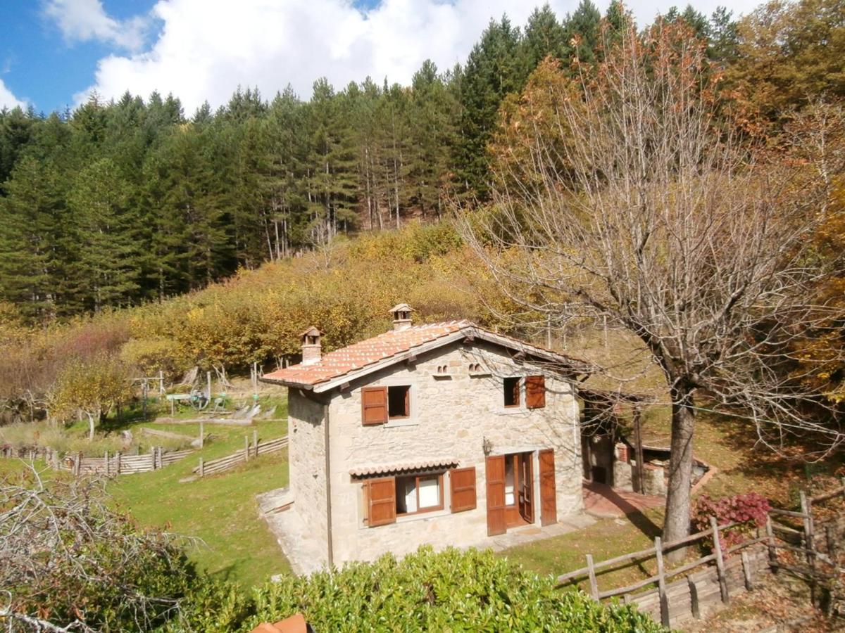 Comfortable House In Bibbiena + Pool Exterior foto